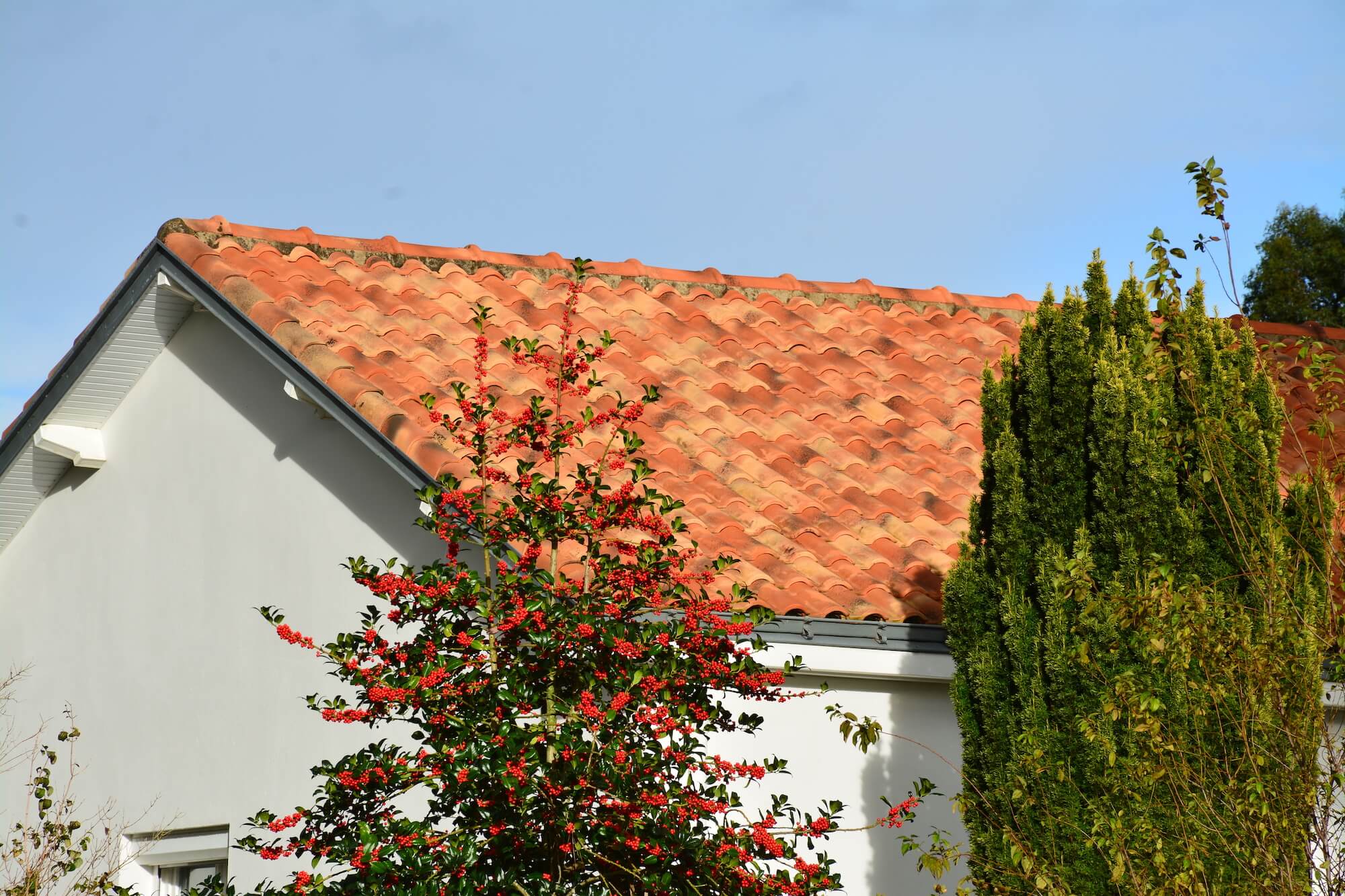 Démoussage de toitures et terrasses