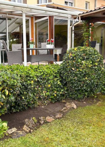 Haies et massifs taillés devant une véranda